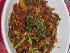 -龙师傅卤炒(天马店)