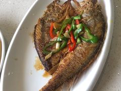 香煎黄花鱼-香港旺记茶餐厅(天贵路店)