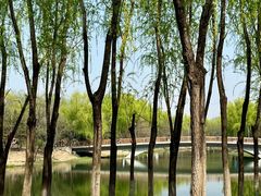 -北京奥林匹克公园