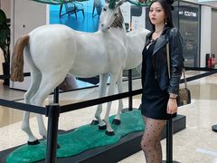 -红星美凯龙北京至尊MALL(东四环中路店)