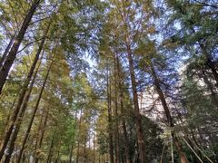 -苏州河梦清园环保主题公园