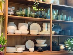 -自由生长植物工作室(深港花卉中心店)