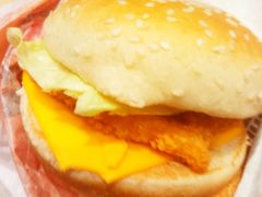 -汉堡王(长沙枫林三路店)
