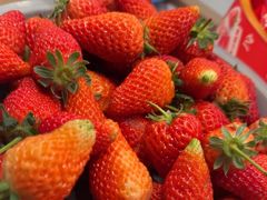 -龍歌自助小火锅(城阳万象汇店)