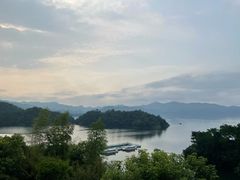-浔味·山屿湖·正宗淳牌全鱼宴老字号