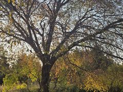 -长春公园(普阳街道)