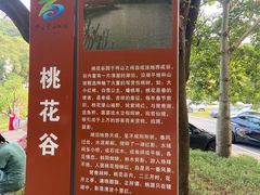 -南国桃园旅游度假区