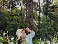 -铁山坪森林公园