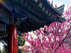 -西安市广仁寺