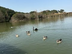 -宁波野生动物园