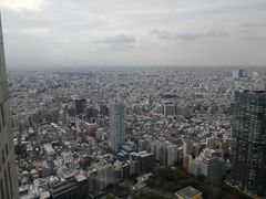 -东京都厅舍