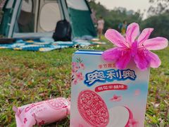 -火炉山森林公园