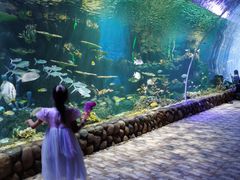 -华夏文旅海洋公园