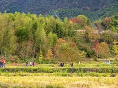 -塔川景区