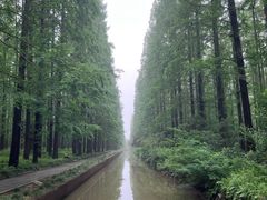 -上海怡沁园度假酒店