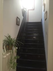 -素颜秀·纹眉·野生眉·纹唇半永久