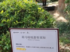 -金鸡湖桃花岛