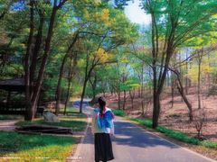 -青龙山国家森林公园