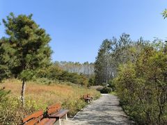 -翠湖国家城市湿地公园