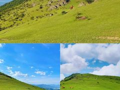 -大姆山草场
