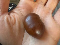 -小栗王(木渎店)