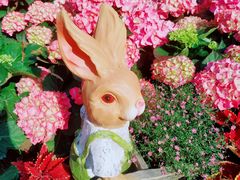 -人民公园(罗湖区)