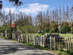 -前小桔亲子创意农场·草莓采摘·露营烧烤