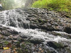 -黄椅山火山森林公园
