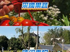 -梁子湖东篱老屋生态庄园
