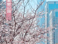 -武汉大学-樱园