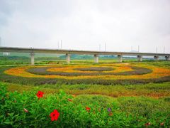 -光明小镇欢乐田园