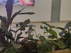 -阿明小菜·海鲜·上海菜(梅陇店)