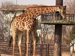 -济南野生动物世界