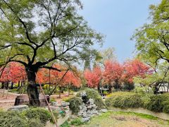 -香山公园