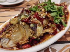 运河鲤鱼-朝花夕拾中餐厅(台儿庄古城复兴广场店)