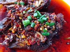 -盐府老街兔(三八路店)