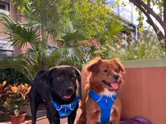 -小意思咖啡店(草桥店)