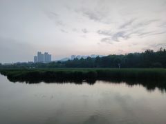 -前关湿地公园