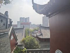-武汉长春观