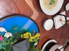 -鲁宴·鲁煨黄河生态大鲤鱼(月坛店)