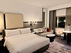 -新加坡乌节希尔顿酒店 (SG Clean)