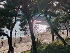 -龍歌自助小火锅(市南金茂湾店)