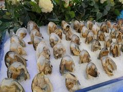 -小天鹅戴斯酒店鲸鲨百汇创作料理