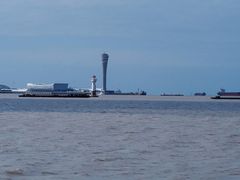 -上海滨江森林公园