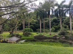 -云溪植物园