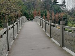 -重庆彩云湖湿地公园