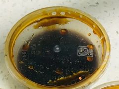 -晶牌烤鸭(延吉东路557弄小区店)