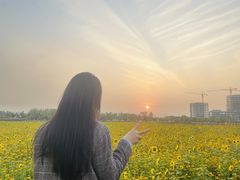-映月湖中央公园