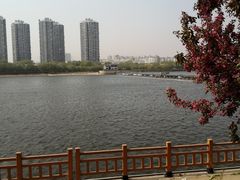 -长白岛森林公园