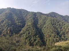 -午潮山国家森林公园